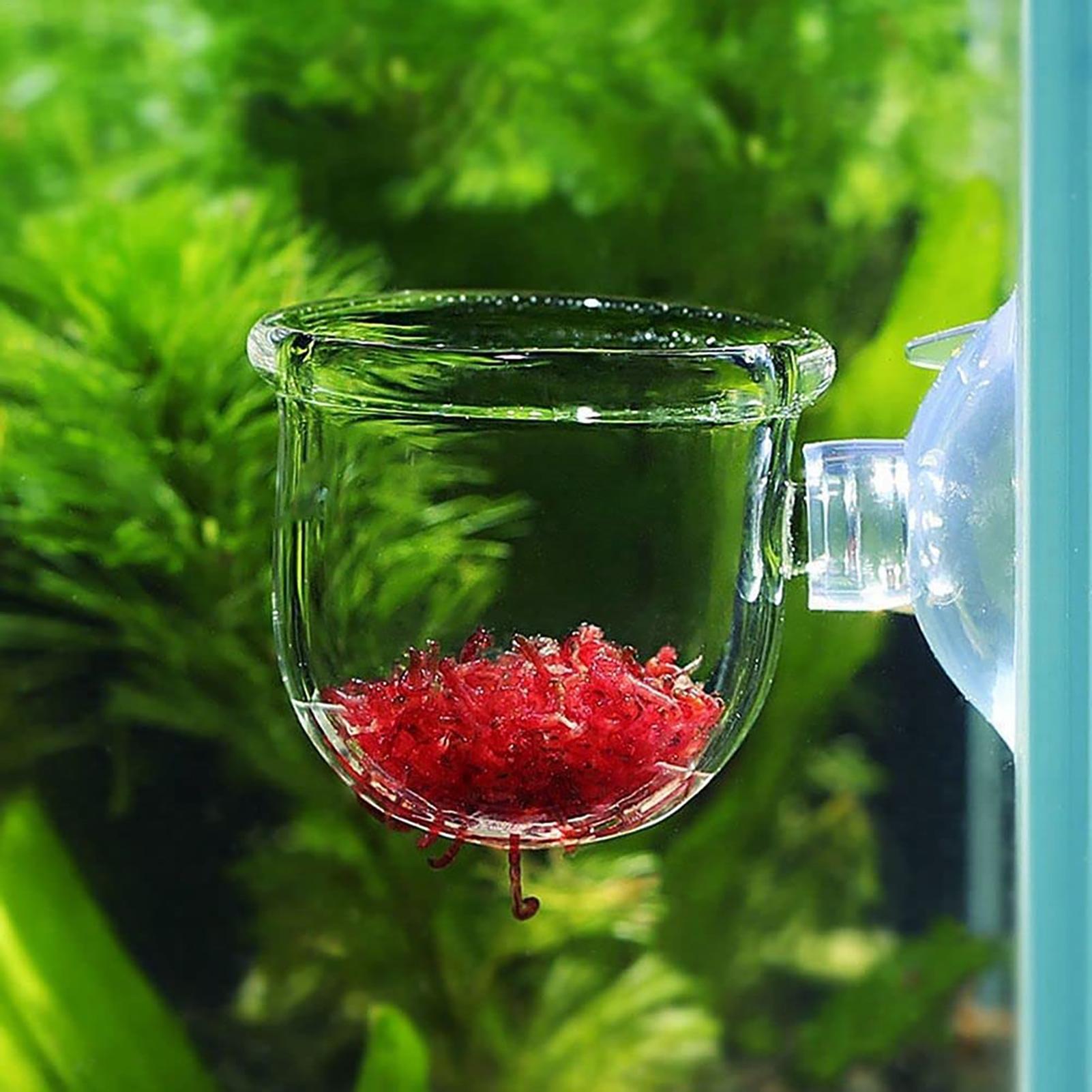 Aquarium Plant Seeds - 水族館植木鉢ガラスシリンダーカップ吸盤付き水生植物の種子を栽培するためのサンゴ苔水槽の装飾アクセサリー