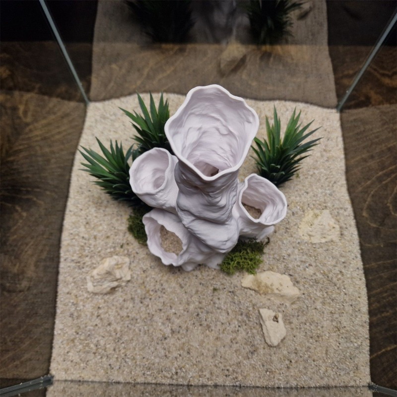 Planted Aquarium Betta - ホットセール 3Dプリント サンゴトンネル 隠れ家 植物インサート 水槽