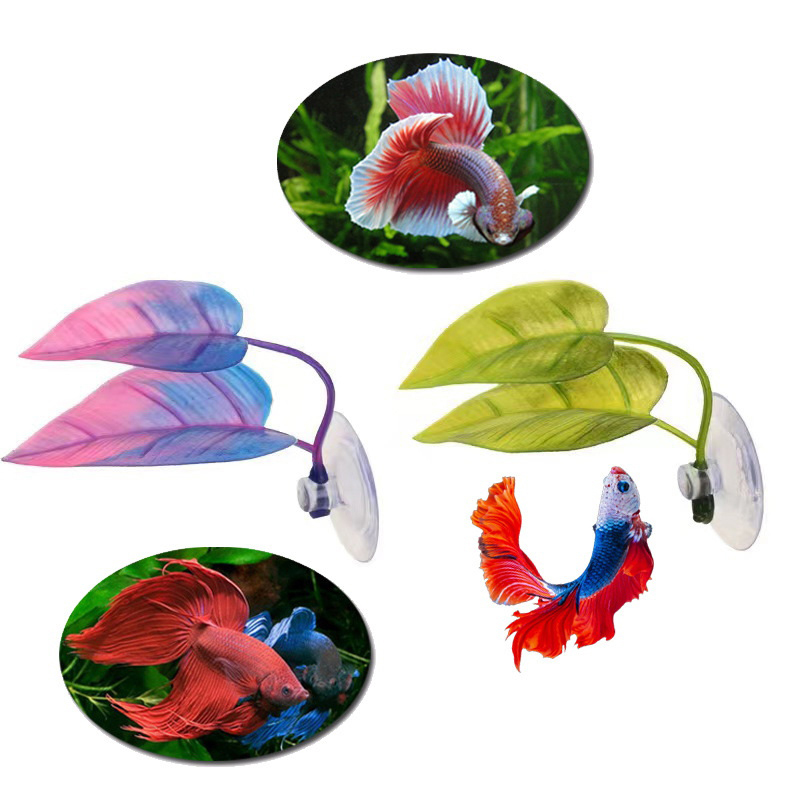 Planted Aquarium Betta - 人工水生植物水槽造園ベタ魚休憩繁殖葉装飾