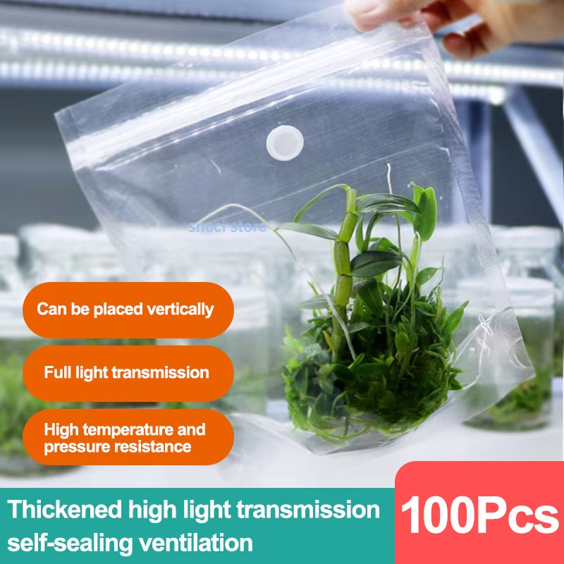 Tissue Culture Plant - 組織培養シールフィルム、高温耐性ラボシールフィルム、生物学的組織および植物細胞培養実験用