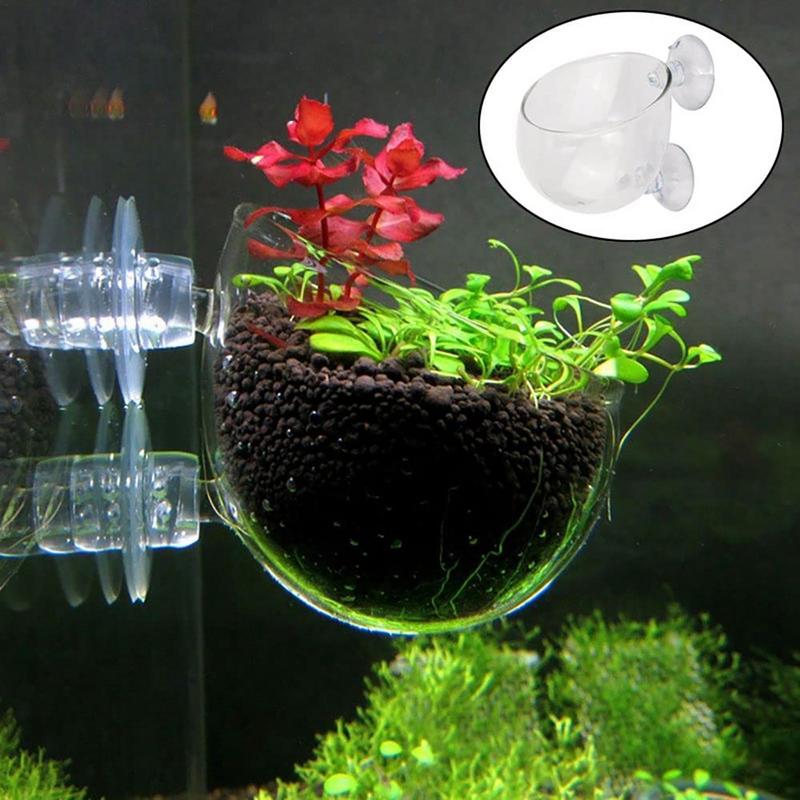 Aquarium Plant Seeds - 吸盤付きガラス水族館植木鉢,シリンダーカップ,水生栽培,種子,サンゴ,苔,水槽,装飾アクセサリー
