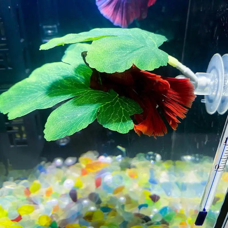 Planted Aquarium Betta - ベタ魚用リーフハンモック水槽装飾植物ベッド、リラックスや産卵に最適、植物付きベタ魚ハンモック水槽装飾
