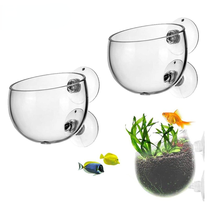Aquarium Plant Seeds - 新しい水族館植物ポットガラスシリンダーカップ吸盤付き水生植物の種子を栽培サンゴ苔水槽装飾アクセサリー
