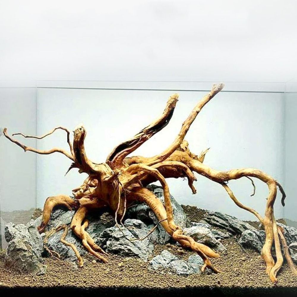 Aquarium Plant Nursery - 天然木のトランクの装飾水族館の装飾流木の枝造園の装飾品水槽の装飾用品