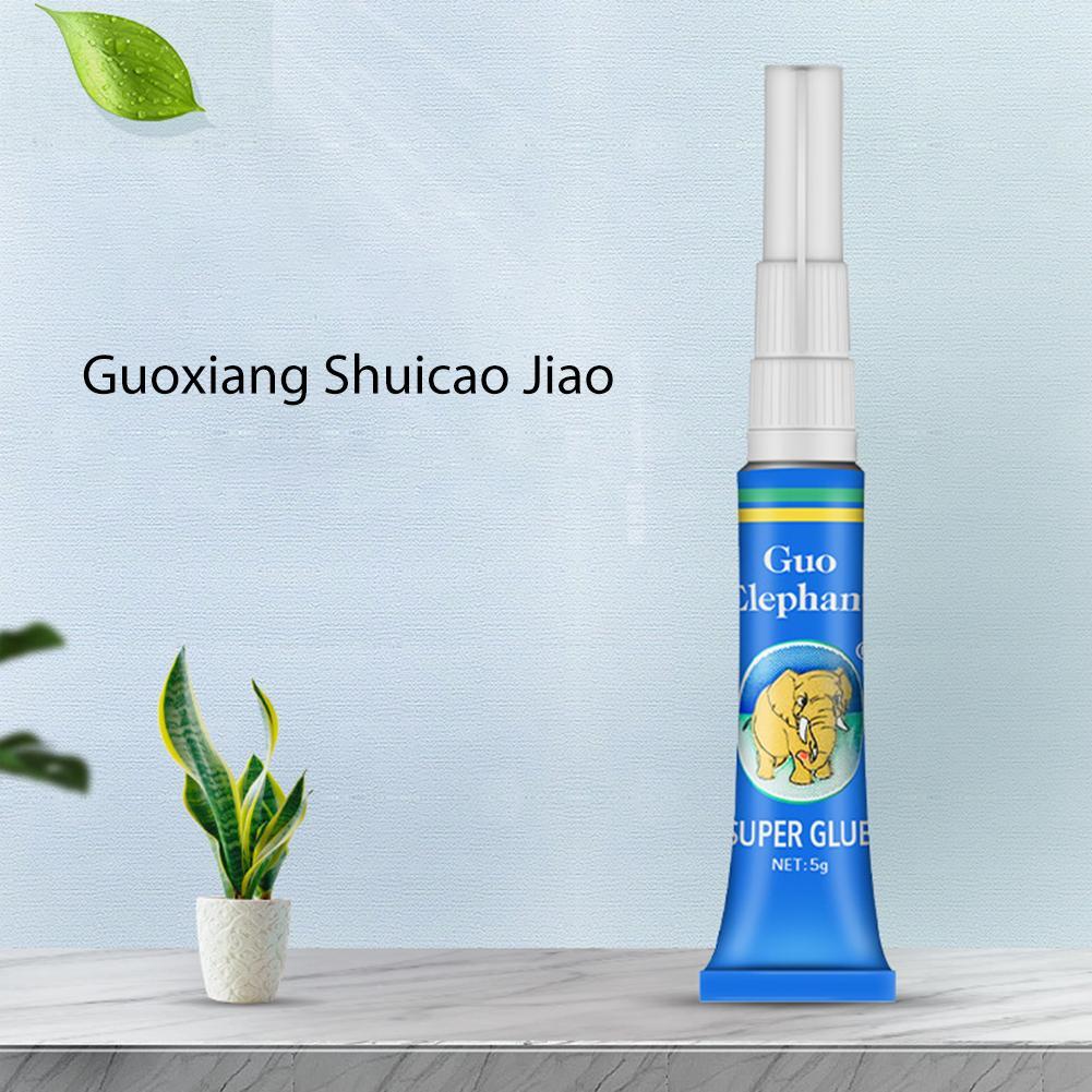 Aquarium Plant Gel - 水槽造園用モス接着剤、水草固定用接着剤、水生植物、流木、水中ジェル