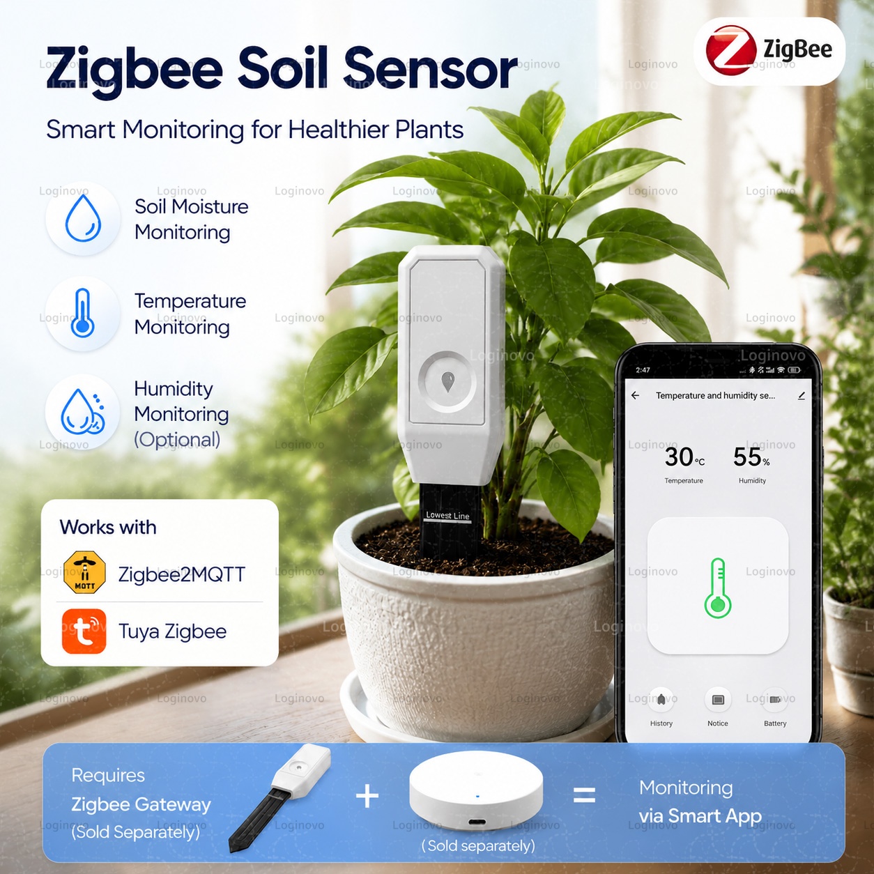 Tissue Culture Plant - Tuya Zigbee 土壌水分テスター 温度湿度センサー 植物土壌メーター 温湿度計