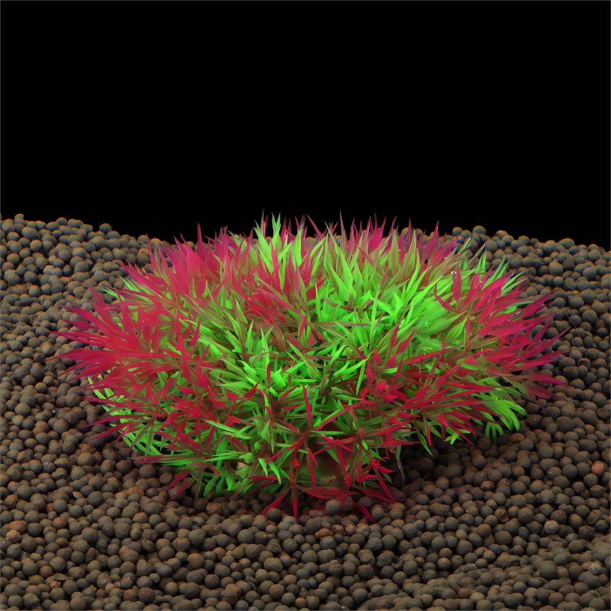 人工水草水槽植物装飾魚タンク景観草装飾プラスチック水生水草飾 - Aquarium Plant Grass のレビューと価格