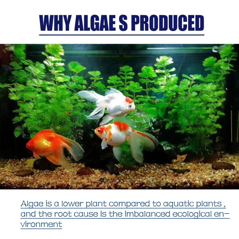 50g高効率藻類駆除剤、水槽・池の藻類・苔の抑制、緑水減少、 - Aquarium Plant Fertilizer のレビューと価格