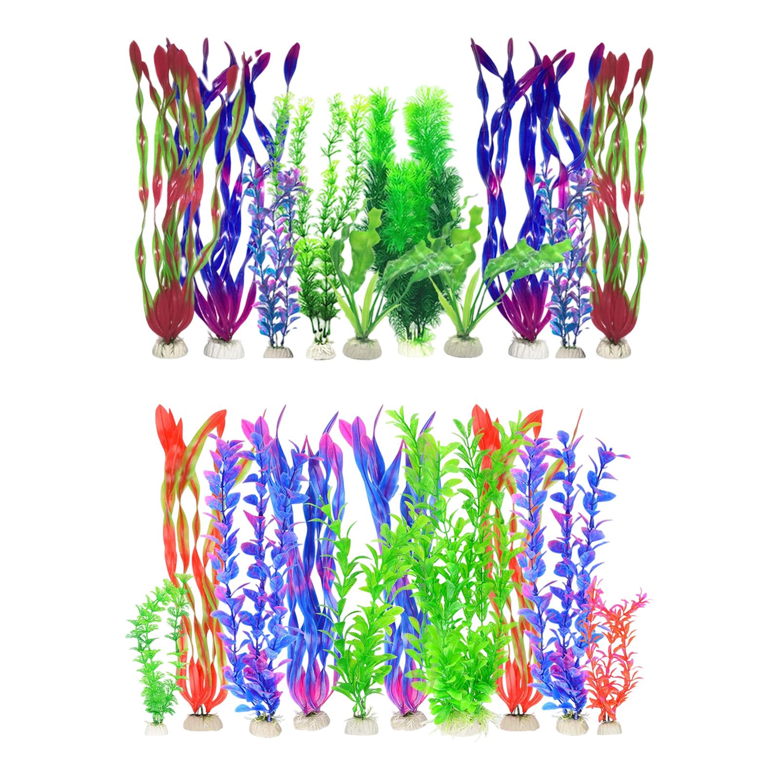 人工水槽植物セット プラスチック製水槽装飾品 リアルな装飾品 - Planted Aquarium Betta のレビューと価格