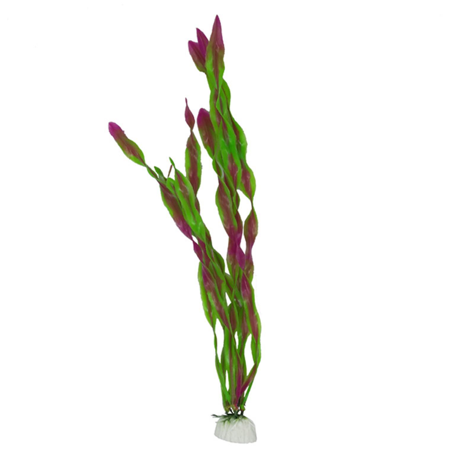 人工水槽植物セット プラスチック製水槽装飾品 リアルな装飾品 - Planted Aquarium Betta のレビューと価格