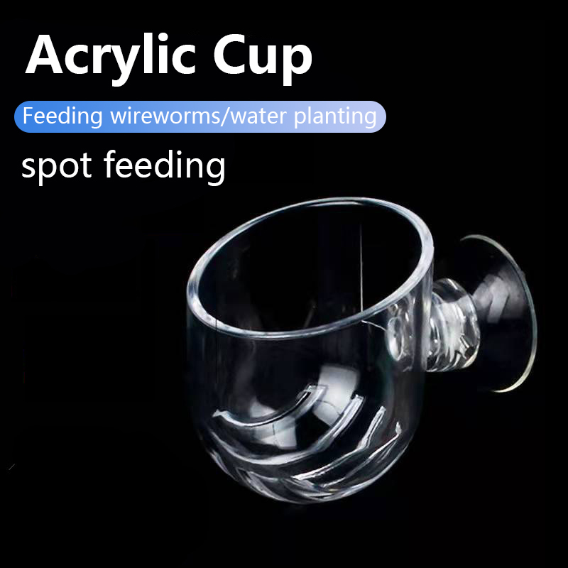 水槽装飾用植物カップポット アクリル製水生植物カップ 吸盤付 - Planted Aquarium Products のレビューと価格
