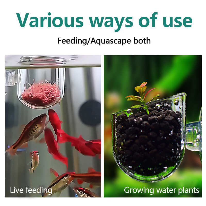 水槽装飾用植物カップポット アクリル製水生植物カップ 吸盤付 - Planted Aquarium Products のレビューと価格