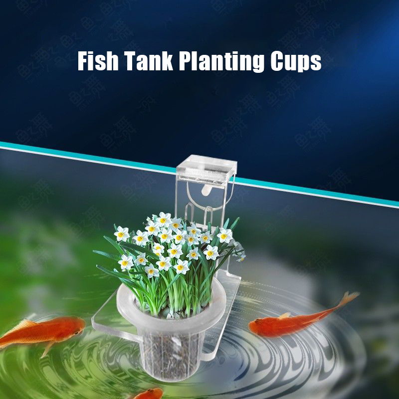 水槽植栽カップ水耕サポートバスケット水草水生植物ホルダー壁掛 - Aquarium Plant Grass のレビューと価格