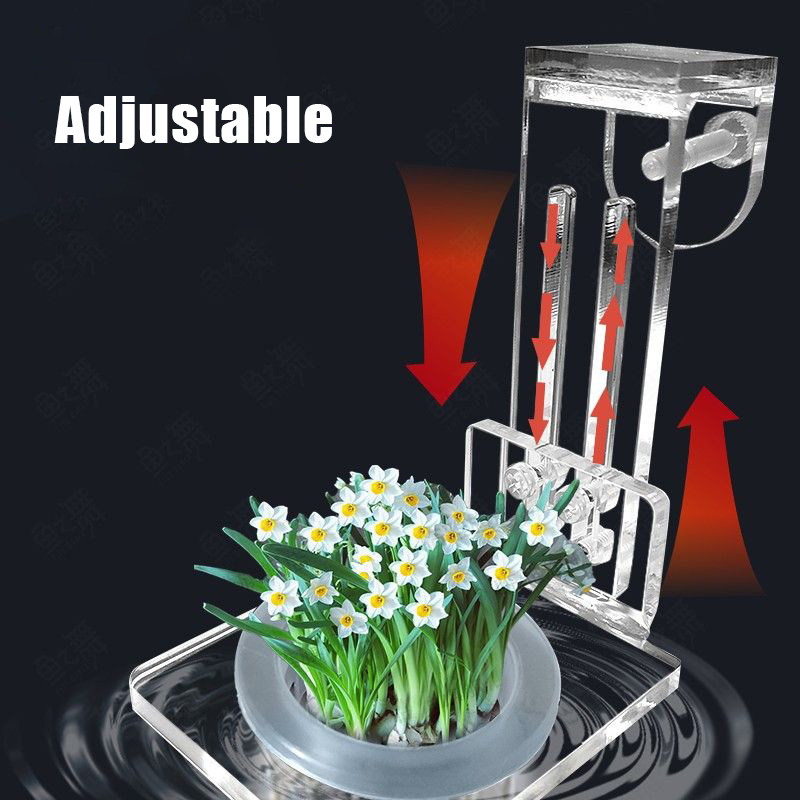 水槽植栽カップ水耕サポートバスケット水草水生植物ホルダー壁掛 - Aquarium Plant Grass のレビューと価格