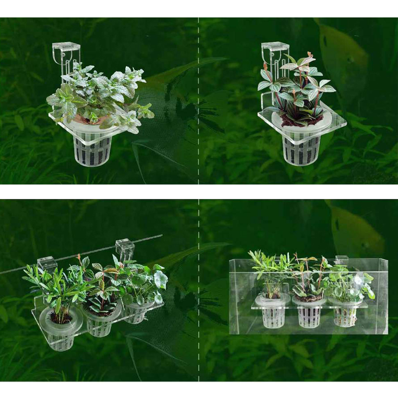 水槽植栽カップ水耕サポートバスケット水草水生植物ホルダー壁掛 - Aquarium Plant Grass のレビューと価格