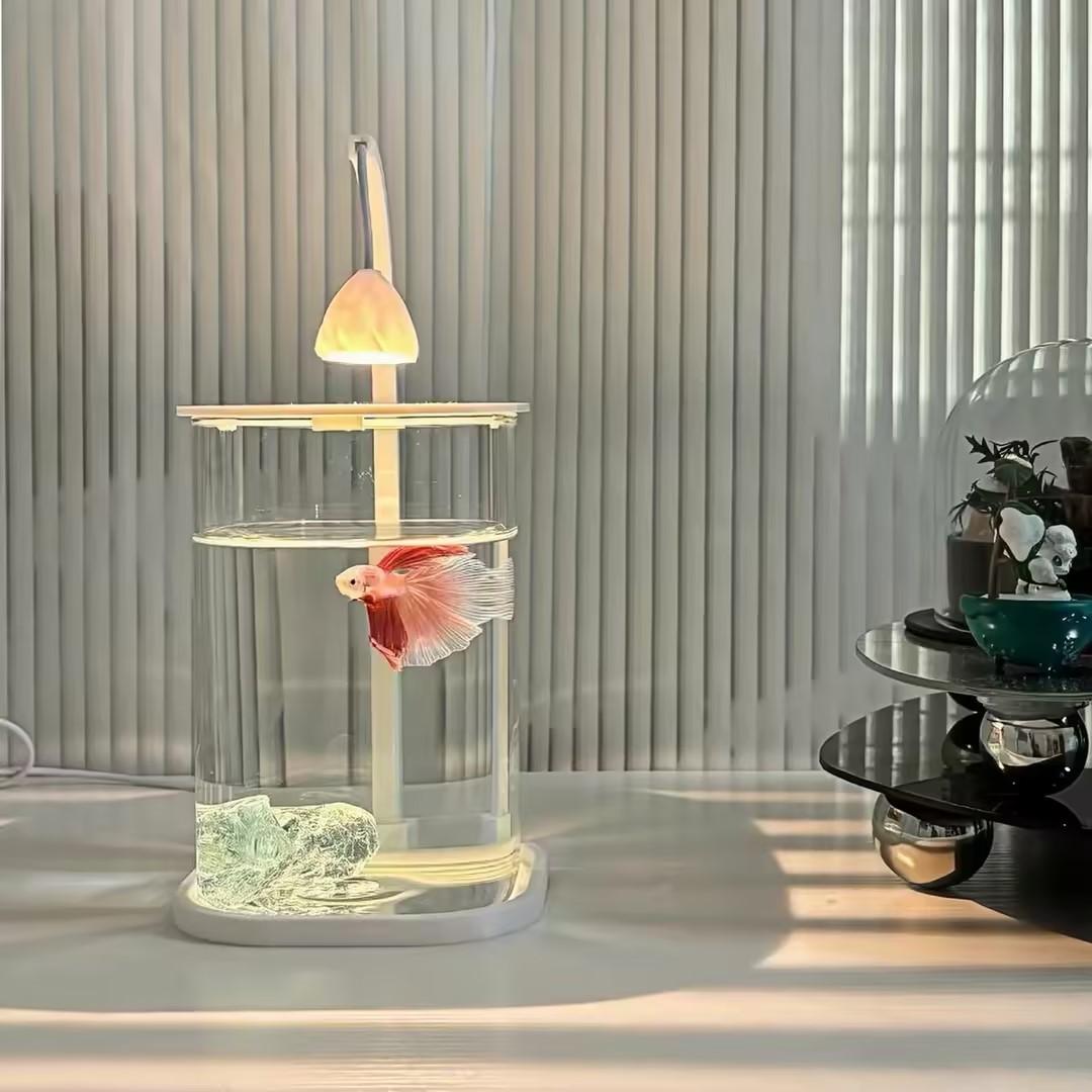360 °   パノラマクリアデスクトップ水槽 ミニアクアリ - Planted Aquarium Betta のレビューと価格
