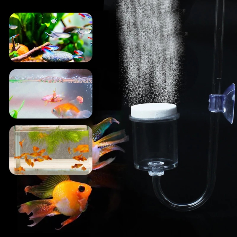水族館用CO2ディフューザー,日曜大工のガラスタンク,バブル - Aquarium Plant Echinodorus のレビューと価格