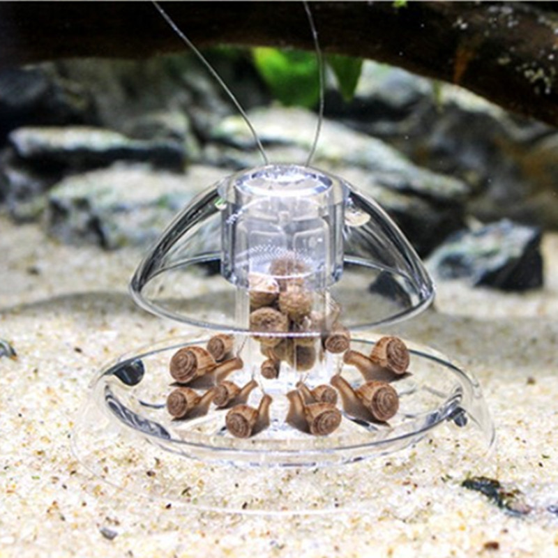 1 個水槽水族館クリーナーカタツムリトラップキャッチャー植物 - Aquarium Plant Nursery のレビューと価格