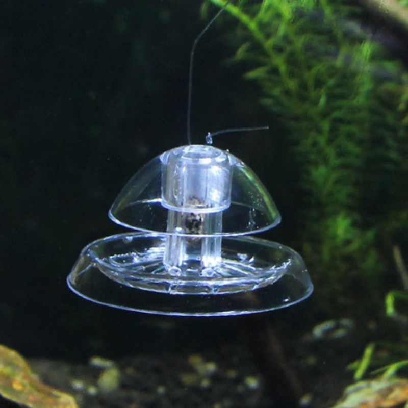 1 個水槽水族館クリーナーカタツムリトラップキャッチャー植物 - Aquarium Plant Nursery のレビューと価格