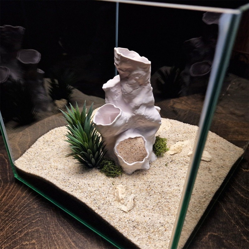ホットセール 3Dプリント サンゴトンネル 隠れ家 植物イン - Planted Aquarium Betta のレビューと価格