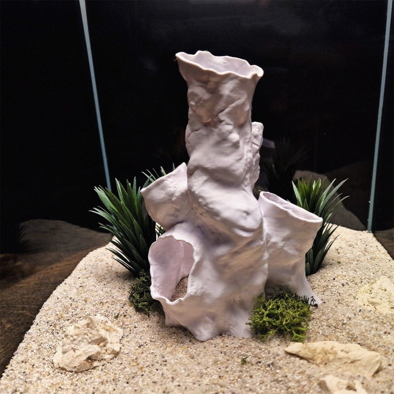 ホットセール 3Dプリント サンゴトンネル 隠れ家 植物イン - Planted Aquarium Betta のレビューと価格