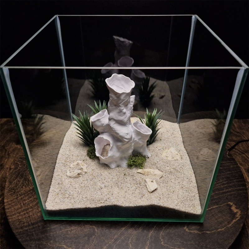 ホットセール 3Dプリント サンゴトンネル 隠れ家 植物イン - Planted Aquarium Betta のレビューと価格