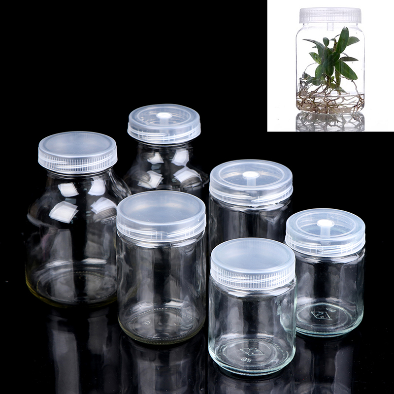 [FE] 植物用ガラス瓶 ボトル苗組織培養用 高温耐性 - Tissue Culture Plant のレビューと価格