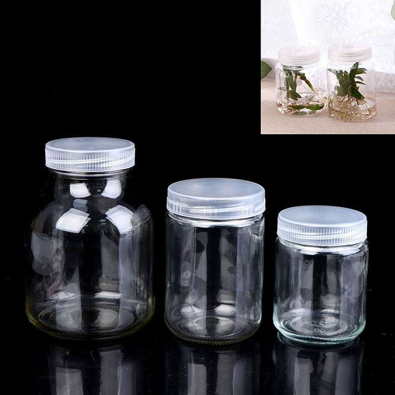 [FE] 植物用ガラス瓶 ボトル苗組織培養用 高温耐性 - Tissue Culture Plant のレビューと価格