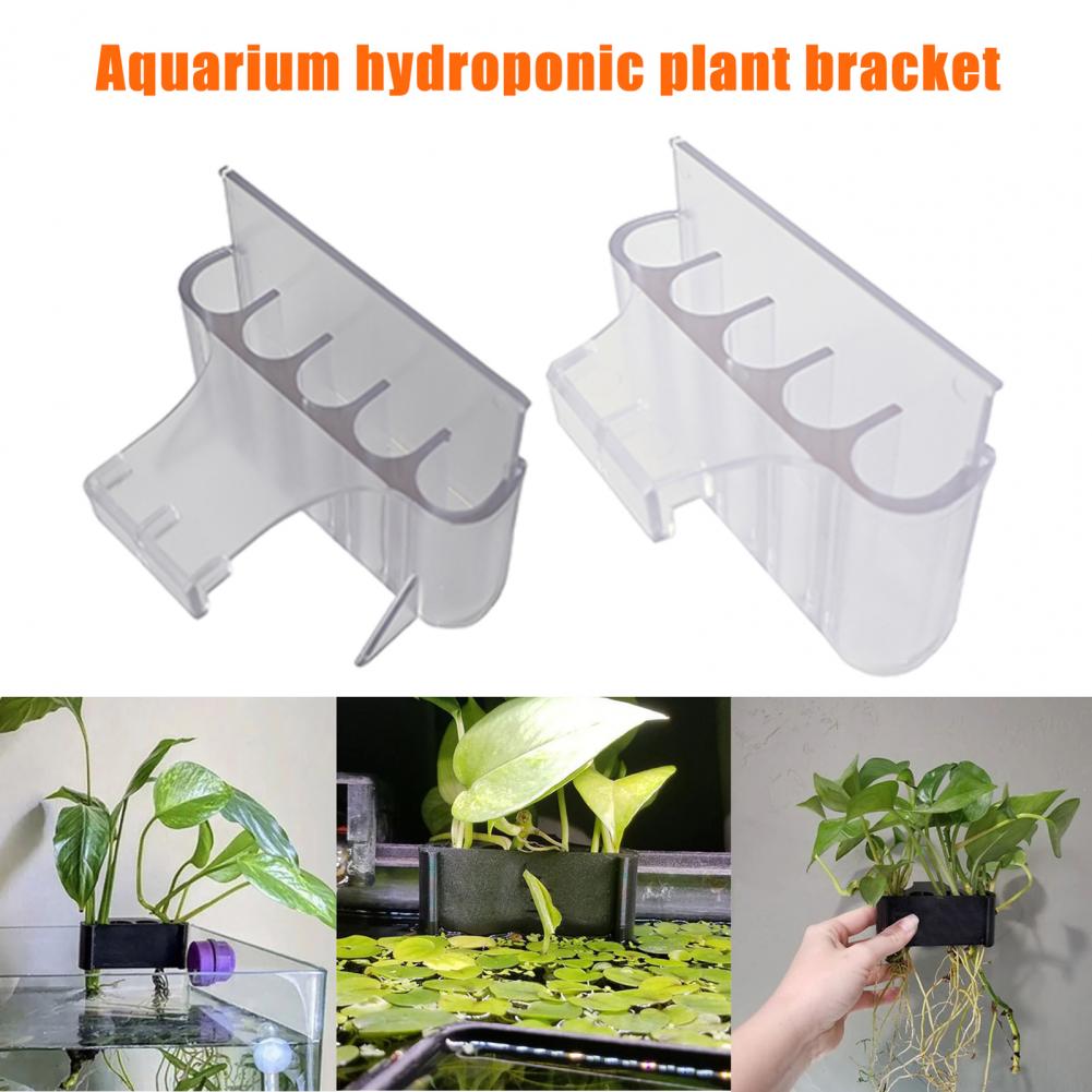 4.5/6.5 センチメートル水族館植物ホルダー水槽植物スタ - Aquarium For Planted Tank のレビューと価格