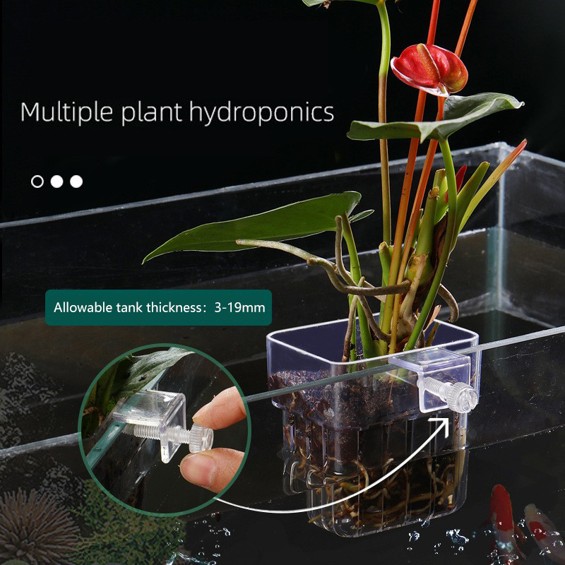 水族館の水耕植物バスケット,高品質,ABS,水耕栽培,種子成 - Aquarium Plant Seeds のレビューと価格
