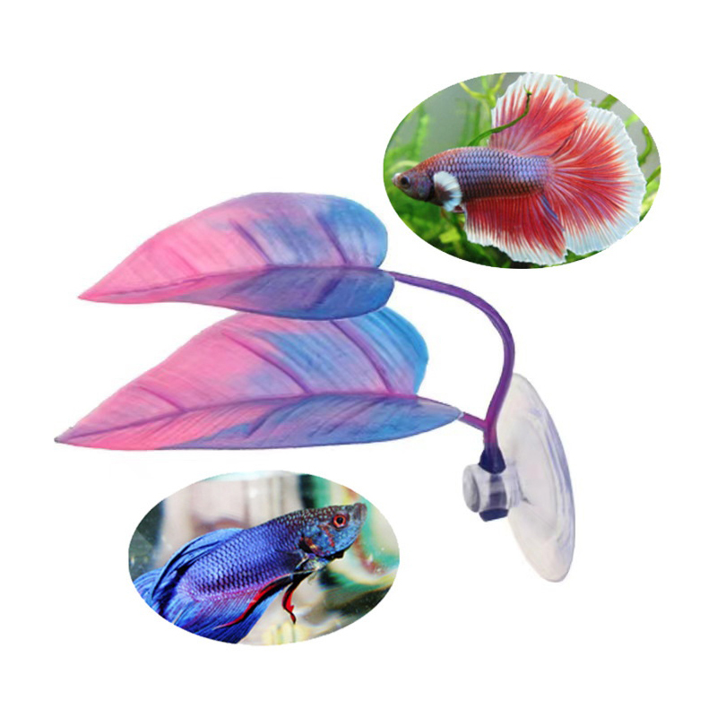 人工水生植物水槽造園ベタ魚休憩繁殖葉装飾 - Planted Aquarium Betta のレビューと価格