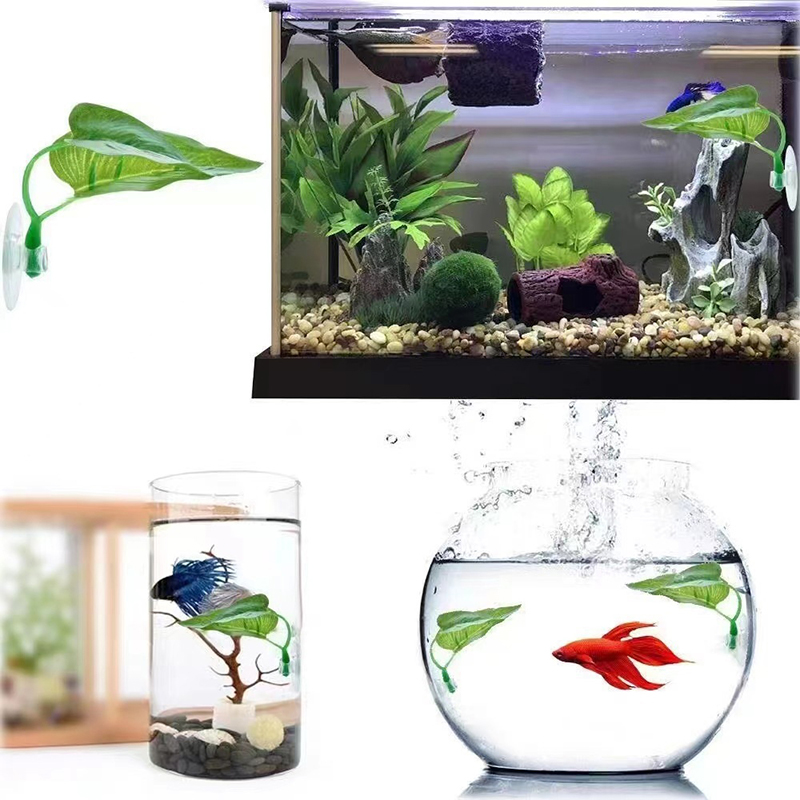 人工水生植物水槽造園ベタ魚休憩繁殖葉装飾 - Planted Aquarium Betta のレビューと価格
