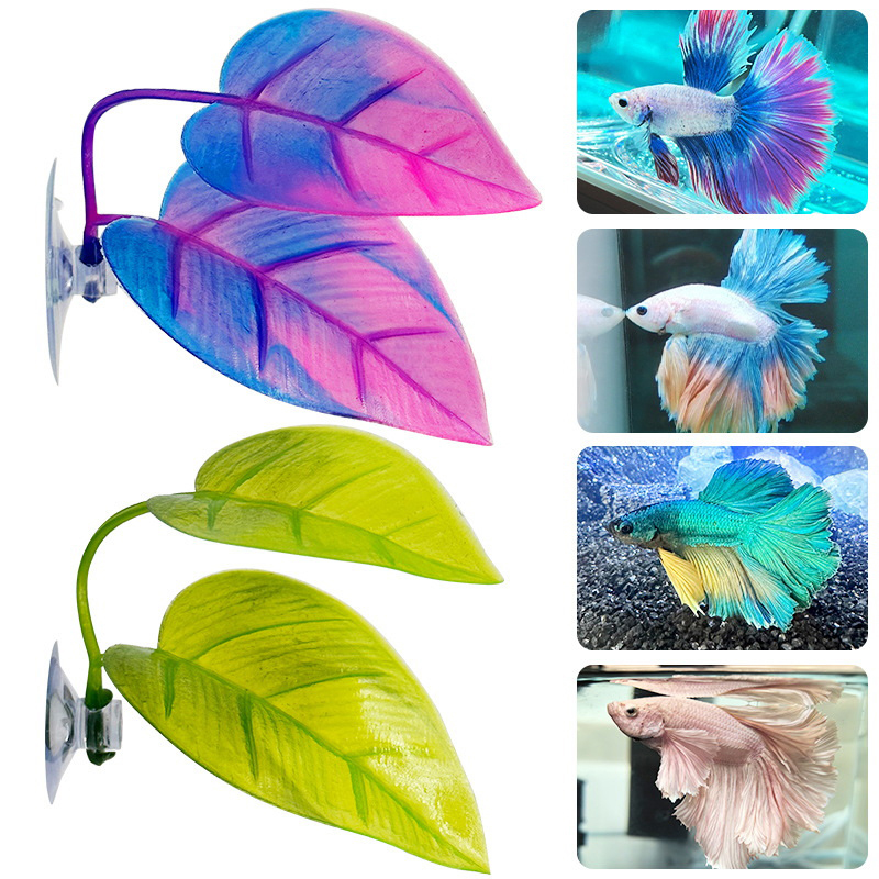 人工水生植物水槽造園ベタ魚休憩繁殖葉装飾 - Planted Aquarium Betta のレビューと価格