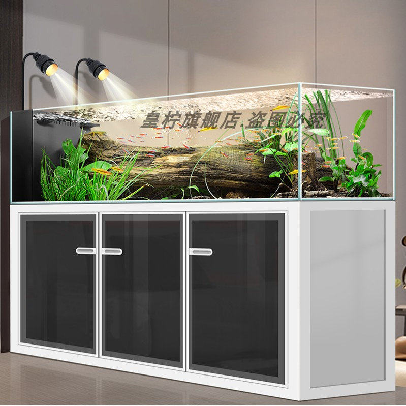 Yjq工業製ウィンドストリームタンク リビングルーム用 家庭 - Aquarium Plant Echinodorus のレビューと価格