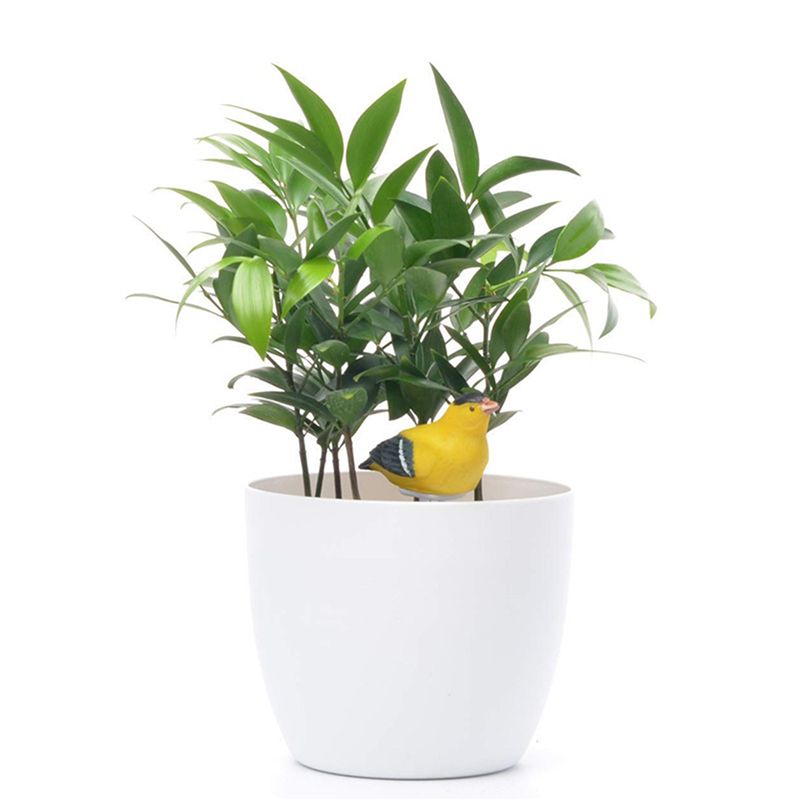 8X 土壌水分計散水警報器鳥植物水質テスター湿度計センサーガ - Tissue Culture Plant のレビューと価格