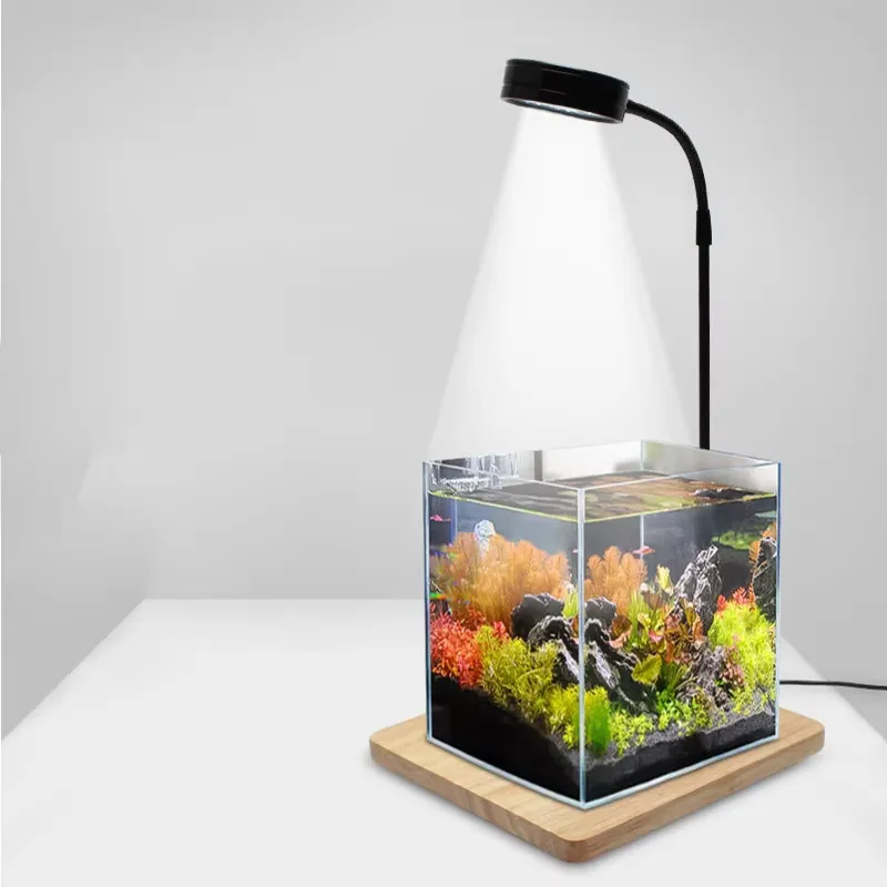 水槽、ベタ、鉢植え、多肉植物、ミニチュア風景用のフルスペクト - Planted Aquarium Betta のレビューと価格