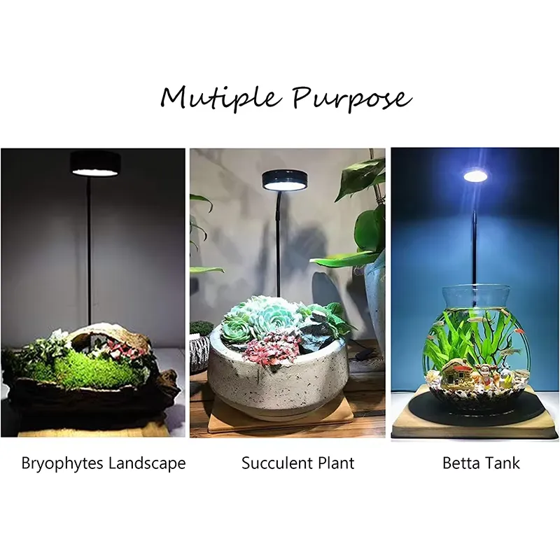 水槽、ベタ、鉢植え、多肉植物、ミニチュア風景用のフルスペクト - Planted Aquarium Betta のレビューと価格