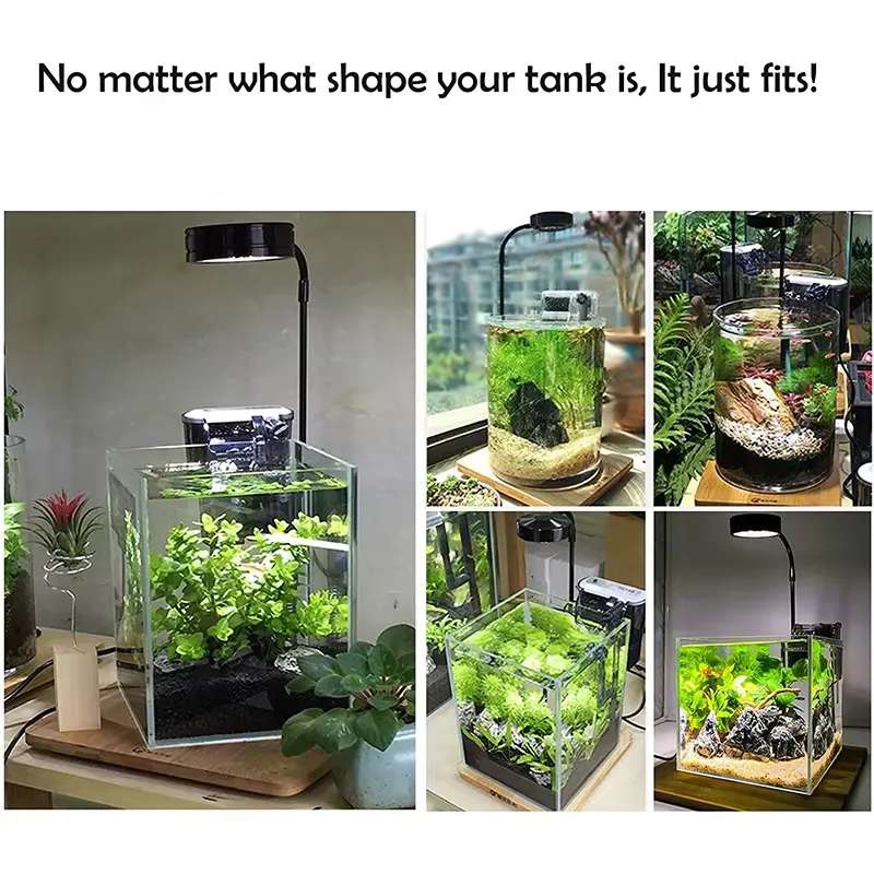 水槽、ベタ、鉢植え、多肉植物、ミニチュア風景用のフルスペクト - Planted Aquarium Betta のレビューと価格