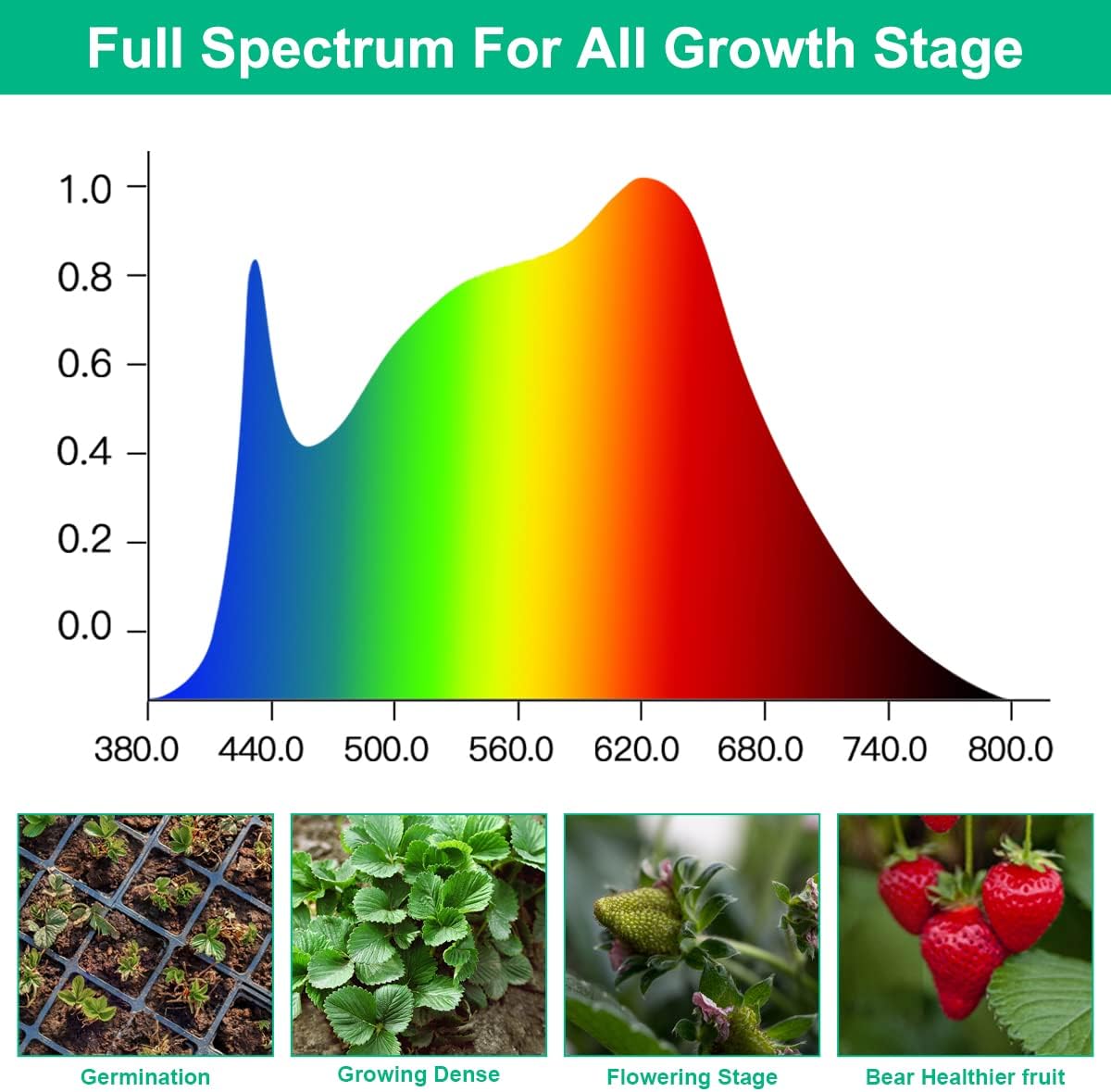LED 成長ランプ植物フルスペクトル AC85-265V 温 - Aquarium Plant Seeds のレビューと価格