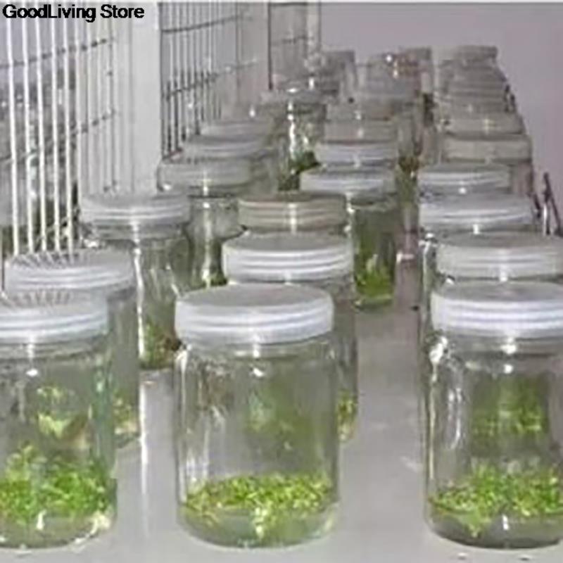 偽の文化が付いた通気性のあるキャップ,高温耐性,直径63mm - Tissue Culture Plant のレビューと価格