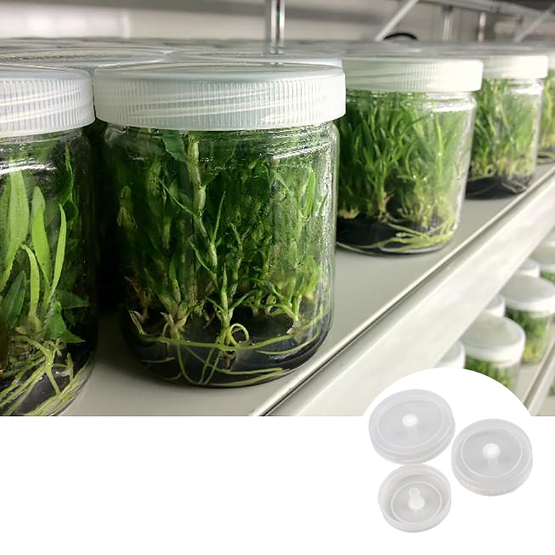 偽の文化が付いた通気性のあるキャップ,高温耐性,直径63mm - Tissue Culture Plant のレビューと価格