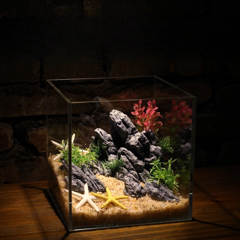 水槽装飾シミュレーション石造りの景石風景水生植物飾り小型水槽 - Planted Aquarium Aquascape のレビューと価格
