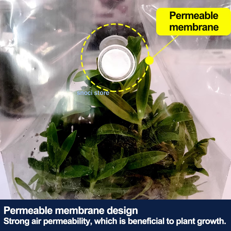組織培養シールフィルム、高温耐性ラボシールフィルム、生物学的 - Tissue Culture Plant のレビューと価格