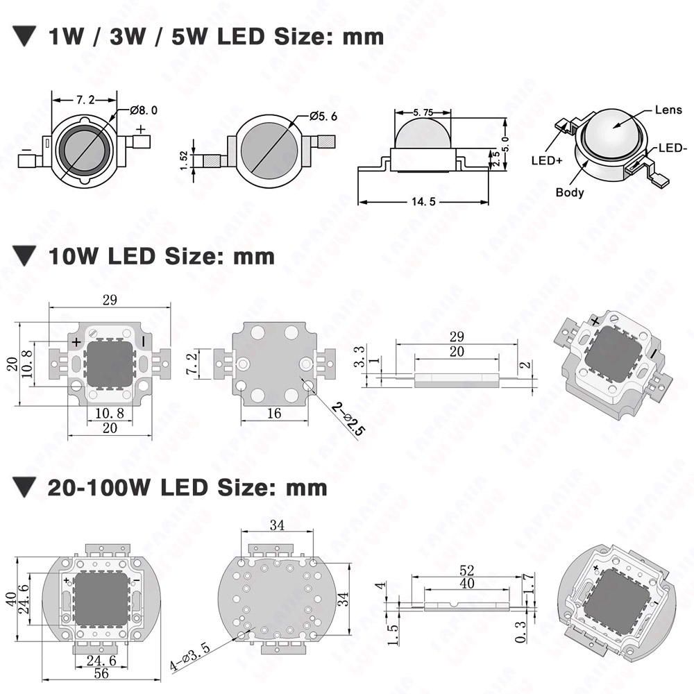 1W 3W 5W 10W 20W 30W 50W 100W  - Aquarium Plant Seeds のレビューと価格