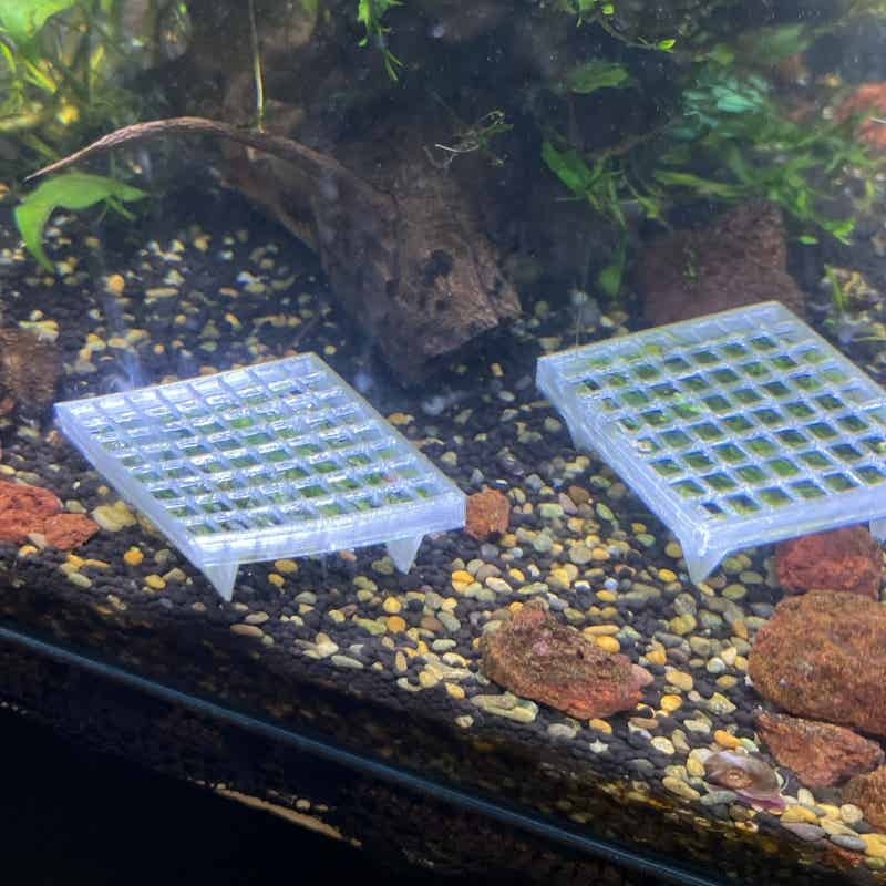 水槽用モスケージホルダー、魚タンク用生モス栽培バスケット、エ - Aquarium Plant Echinodorus のレビューと価格
