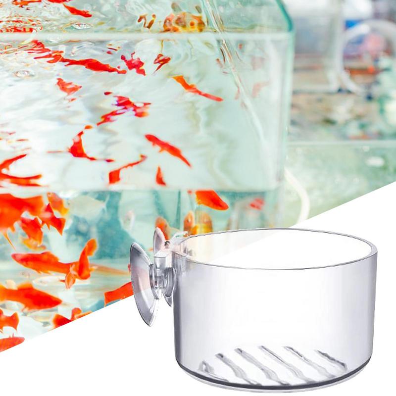 吸盤付きガラス水族館植木鉢,シリンダーカップ,水生栽培,種子 - Aquarium Plant Seeds のレビューと価格