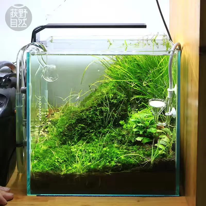 Chihiros C シリーズ ADA スタイル植物成長 L - Planted Aquarium Products のレビューと価格