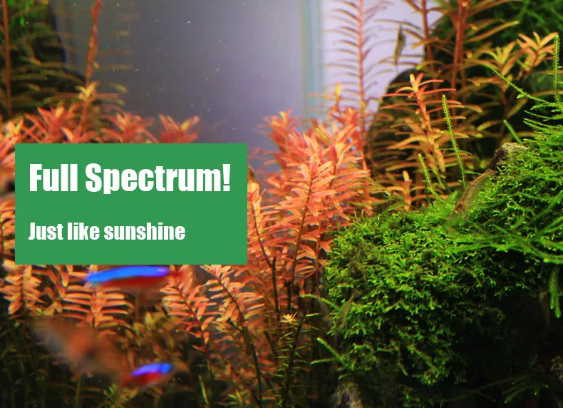 Chihiros C シリーズ ADA スタイル植物成長 L - Planted Aquarium Products のレビューと価格