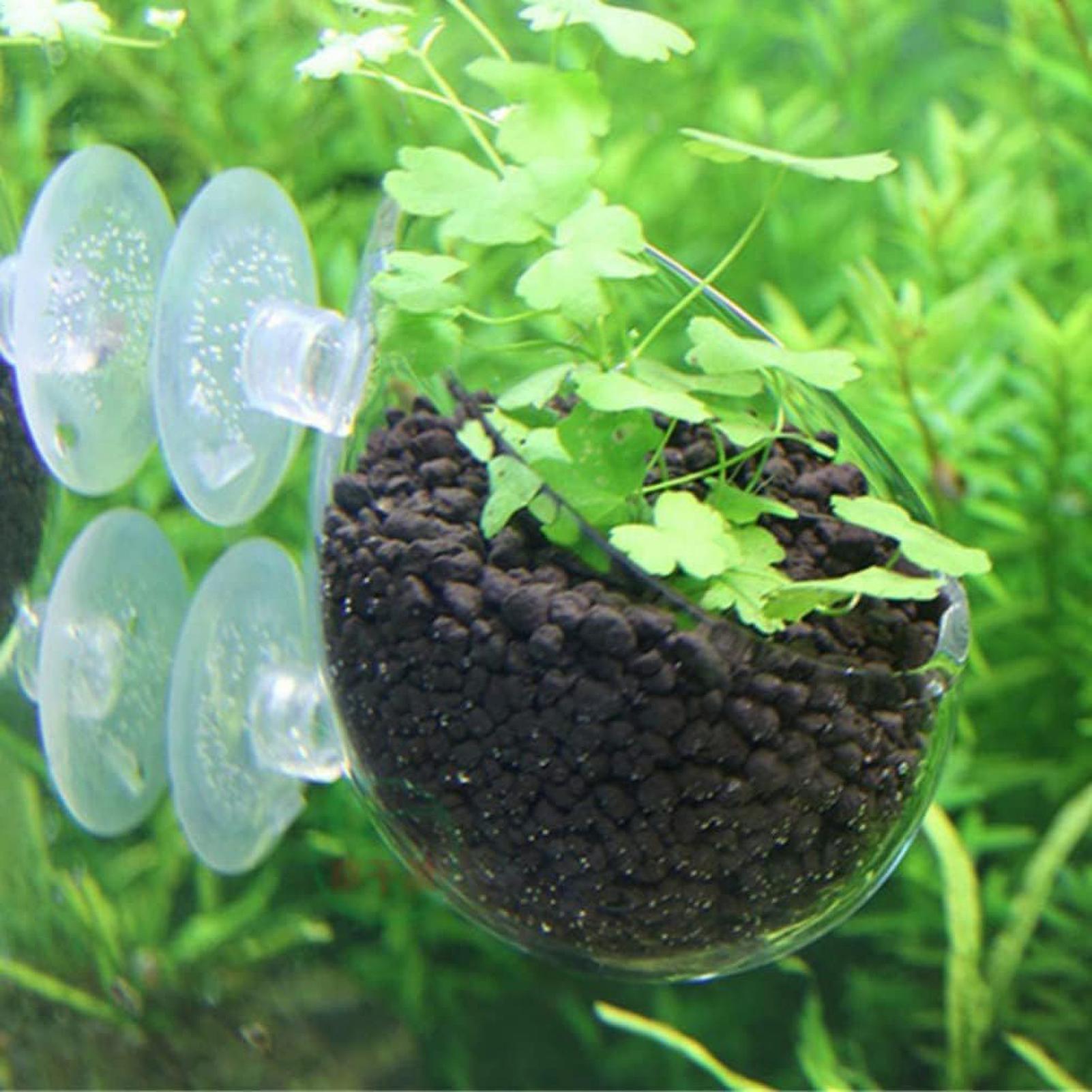 水槽用ガラス製植木鉢、吸盤付き、生きた植物用、水槽ホルダー、 - Aquarium Plant Gel のレビューと価格