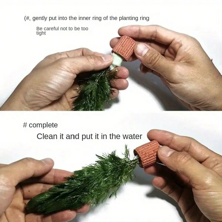 高品質の水族館植物固定リング - 水生植物用の呼吸リングは、 - Planted Aquarium Aquascape のレビューと価格